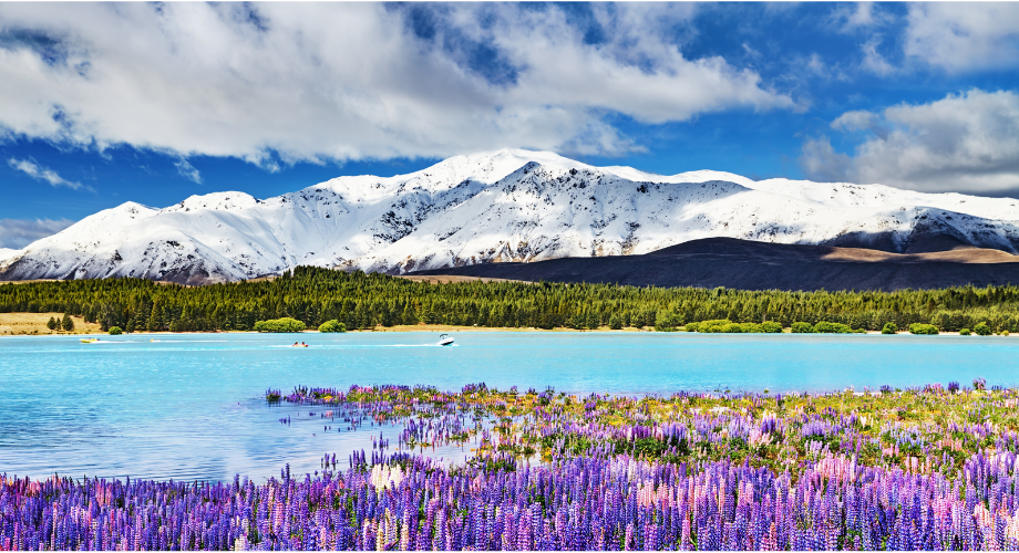 Lake Tekapo is a beloved holiday destination of crystal-clear waters