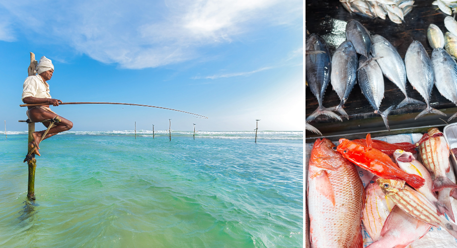 Fishing in Kalutara 