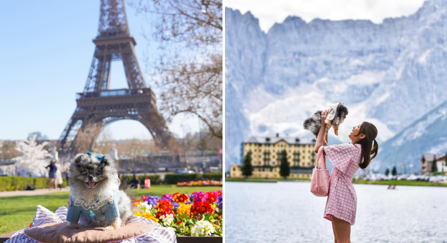  Lin Linlysa exploring pet-friendly amenities 
