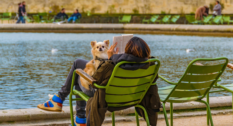 Dogs spotted dining alfresco in Paris