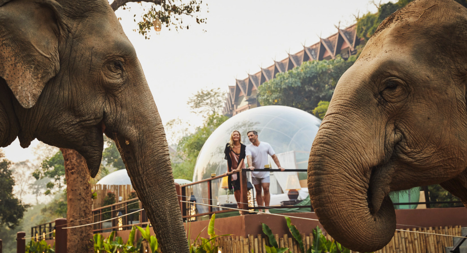  Anantara Golden Triangle Elephant Camp & Resort
