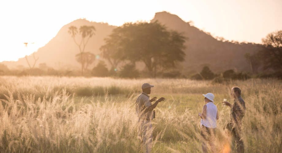 Safari destinations in Kenya and Tanzania 
