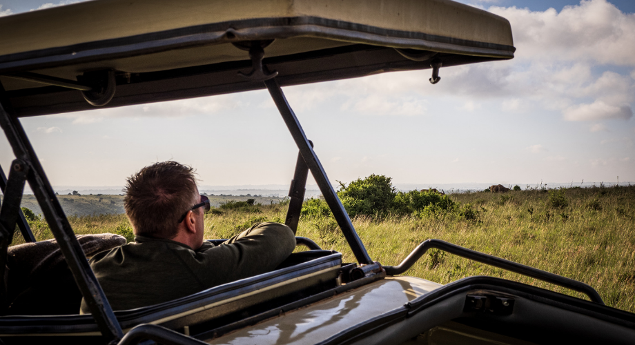Safari tailored to personal taste