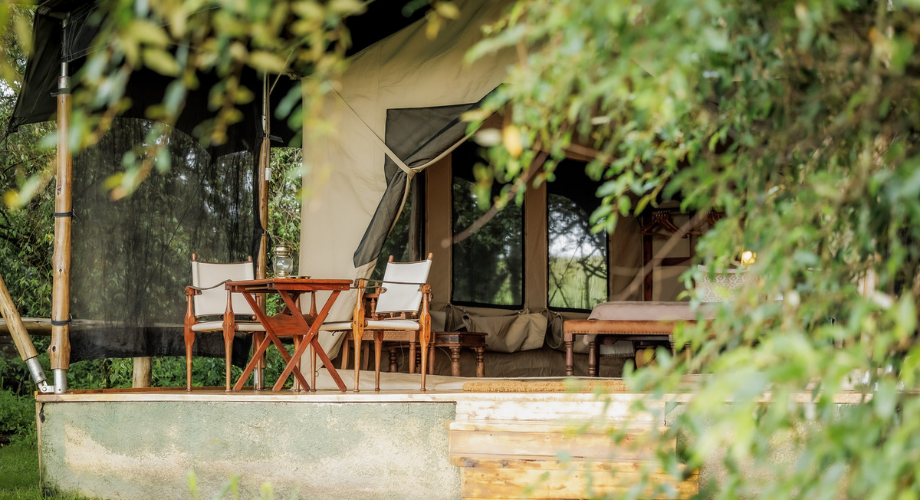 Safari retreat experience