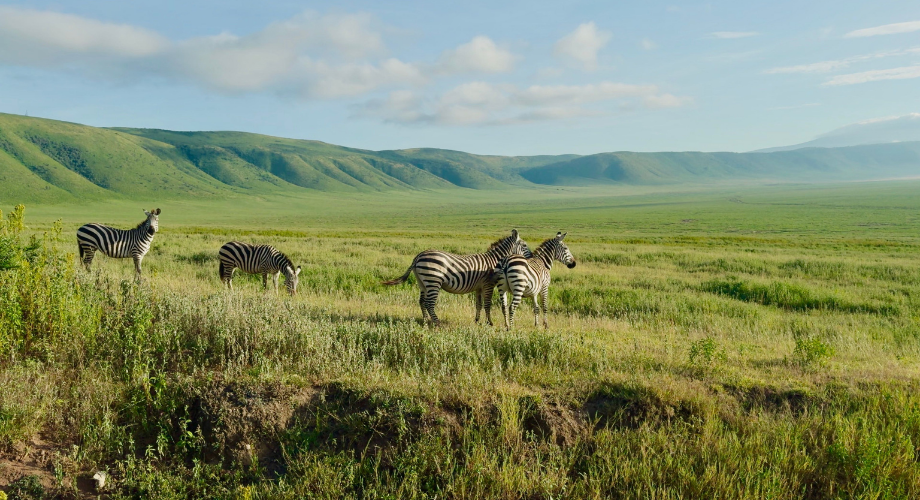 View of the safari in West Africa