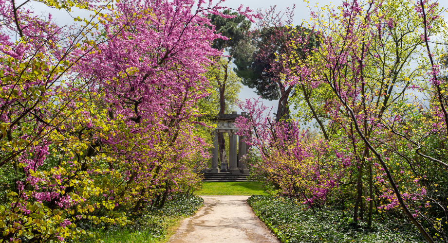 Madrid secret garden  El Capricho