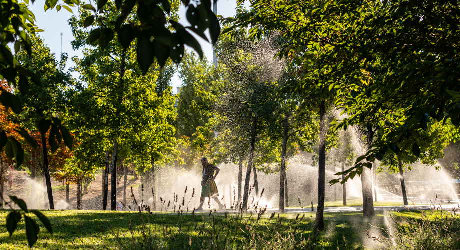 Urban Sustainability at Madrid Río Park