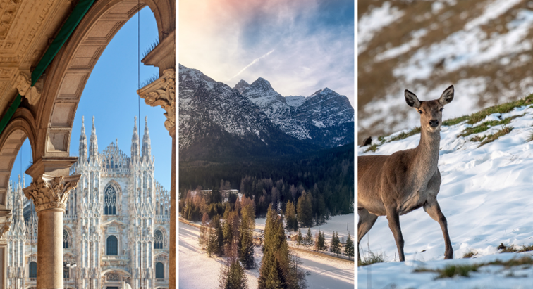 Cortina d'Ampezzo Winter escape