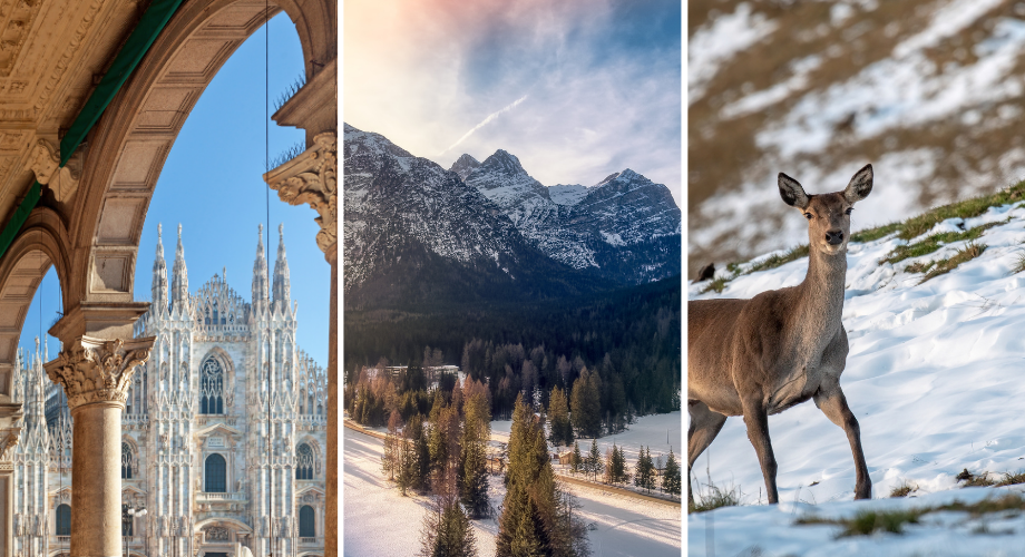 Cortina d'Ampezzo Winter escape